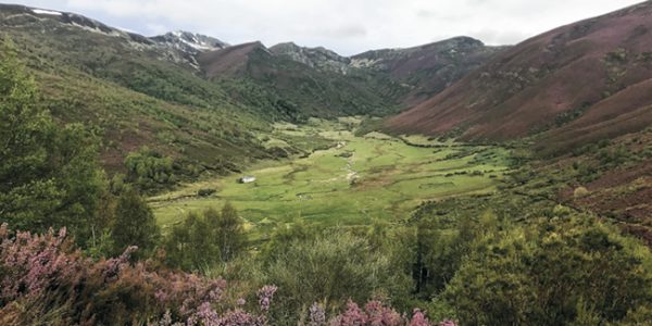 etapa_18_1